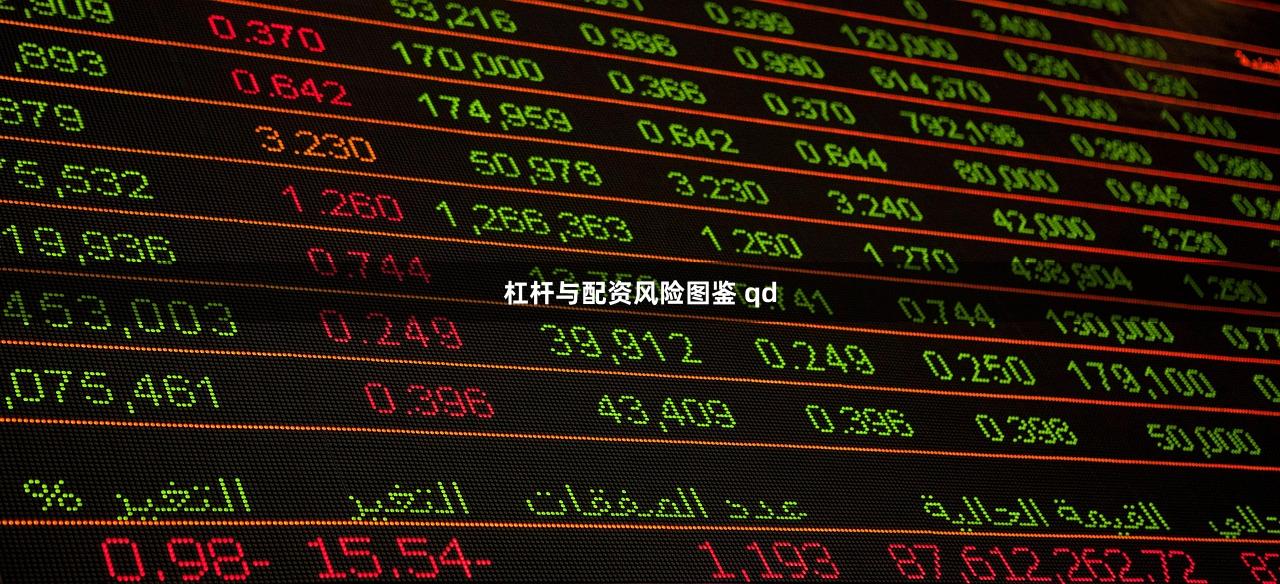 杠杆与配资风险图鉴 qd