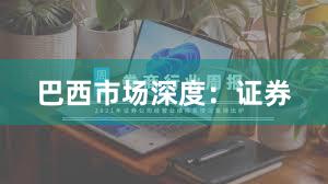 巴西市场深度：证券